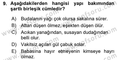 Türkçe Cümle Bilgisi 2 Dersi 2024 - 2025 Yılı Yaz Okulu Sınav Soruları 9. Soru