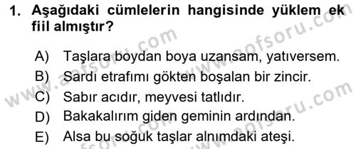 Türkçe Cümle Bilgisi 2 Dersi 2025 - 2026 Yılı (Vize) Ara Sınav Soruları 1. Soru