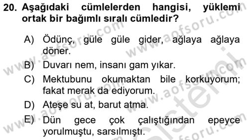 Türkçe Cümle Bilgisi 2 Dersi 2025 - 2026 Yılı (Vize) Ara Sınav Soruları 20. Soru