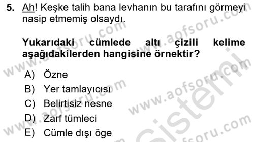 Türkçe Cümle Bilgisi 2 Dersi 2025 - 2026 Yılı (Vize) Ara Sınav Soruları 5. Soru