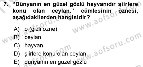 Türkçe Cümle Bilgisi 2 Dersi 2025 - 2026 Yılı (Vize) Ara Sınav Soruları 7. Soru