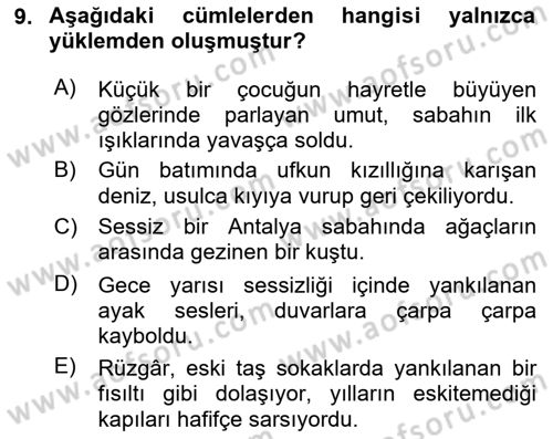 Türkçe Cümle Bilgisi 2 Dersi 2025 - 2026 Yılı (Vize) Ara Sınav Soruları 9. Soru