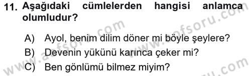 Türkçe Cümle Bilgisi 2 Dersi 2025 - 2026 Yılı (Final) Dönem Sonu Sınav Soruları 11. Soru
