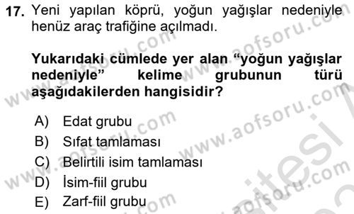 Türkçe Cümle Bilgisi 2 Dersi 2025 - 2026 Yılı (Final) Dönem Sonu Sınav Soruları 17. Soru
