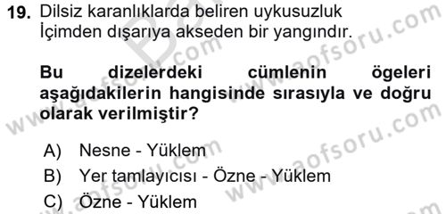 Türkçe Cümle Bilgisi 2 Dersi 2025 - 2026 Yılı (Final) Dönem Sonu Sınav Soruları 19. Soru