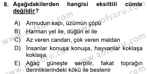 Türkçe Cümle Bilgisi 2 Dersi 2025 - 2026 Yılı (Final) Dönem Sonu Sınav Soruları 8. Soru