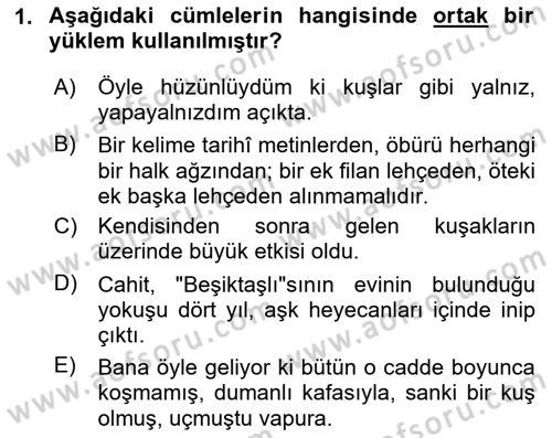 Türkçe Cümle Bilgisi 2 Dersi 2025 - 2026 Yılı Yaz Okulu Sınav Soruları 1. Soru