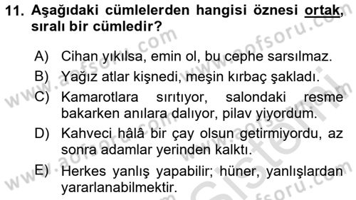 Türkçe Cümle Bilgisi 2 Dersi 2025 - 2026 Yılı Yaz Okulu Sınav Soruları 11. Soru