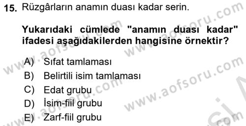 Türkçe Cümle Bilgisi 2 Dersi 2025 - 2026 Yılı Yaz Okulu Sınav Soruları 15. Soru
