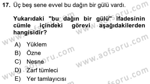 Türkçe Cümle Bilgisi 2 Dersi 2025 - 2026 Yılı Yaz Okulu Sınav Soruları 17. Soru