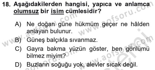 Türkçe Cümle Bilgisi 2 Dersi 2025 - 2026 Yılı Yaz Okulu Sınav Soruları 18. Soru