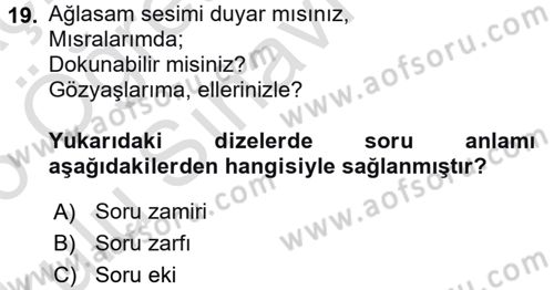 Türkçe Cümle Bilgisi 2 Dersi 2025 - 2026 Yılı Yaz Okulu Sınav Soruları 19. Soru