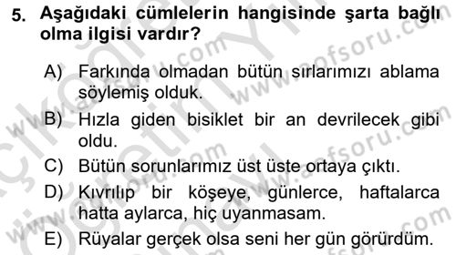 Türkçe Cümle Bilgisi 2 Dersi 2025 - 2026 Yılı Yaz Okulu Sınav Soruları 5. Soru