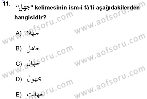 Osmanlı Türkçesi Grameri 1 Dersi Ara Sınavı Deneme Sınav Soruları 11. Soru