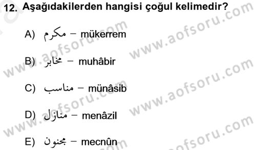 Osmanlı Türkçesi Grameri 1 Dersi 2018 - 2019 Yılı (Vize) Ara Sınavı 12. Soru