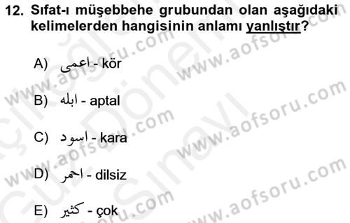 Osmanlı Türkçesi Grameri 1 Dersi 2018 - 2019 Yılı (Final) Dönem Sonu Sınav Soruları 12. Soru