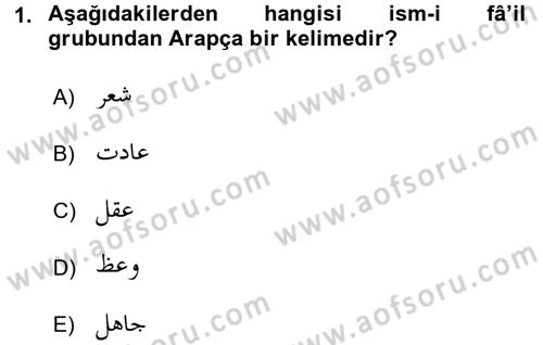 Osmanlı Türkçesi Grameri 1 Dersi 2018 - 2019 Yılı Yaz Okulu Sınav Soruları 1. Soru