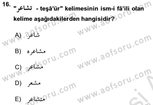 Osmanlı Türkçesi Grameri 1 Dersi Ara Sınavı Deneme Sınav Soruları 16. Soru