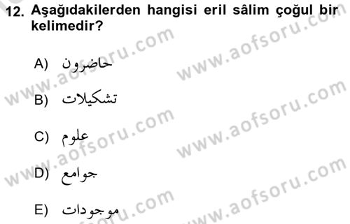 Osmanlı Türkçesi Grameri 1 Dersi 2019 - 2020 Yılı (Final) Dönem Sonu Sınav Soruları 12. Soru