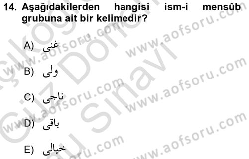 Osmanlı Türkçesi Grameri 1 Dersi 2019 - 2020 Yılı (Final) Dönem Sonu Sınav Soruları 14. Soru