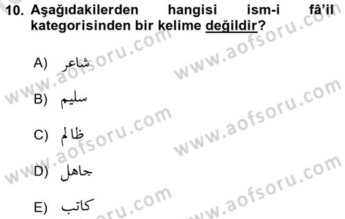 Osmanlı Türkçesi Grameri 1 Dersi 2021 - 2022 Yılı (Final) Dönem Sonu Sınav Soruları 10. Soru