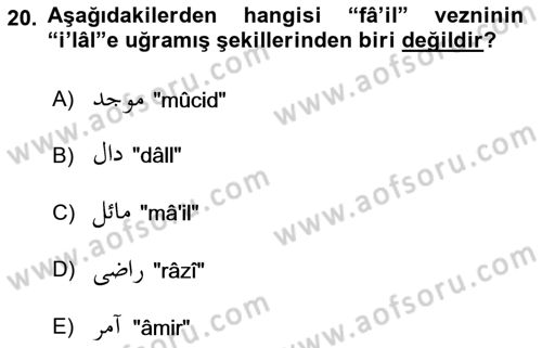 Osmanlı Türkçesi Grameri 1 Dersi 2021 - 2022 Yılı (Final) Dönem Sonu Sınav Soruları 20. Soru