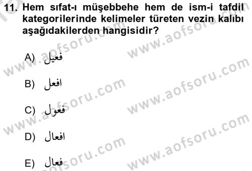 Osmanlı Türkçesi Grameri 1 Dersi 2021 - 2022 Yılı Yaz Okulu Sınav Soruları 11. Soru