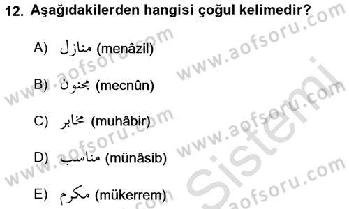 Osmanlı Türkçesi Grameri 1 Dersi 2021 - 2022 Yılı Yaz Okulu Sınav Soruları 12. Soru