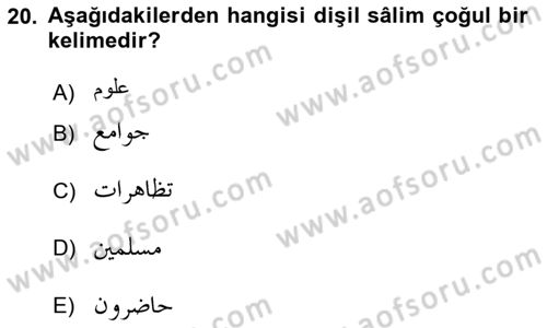 Osmanlı Türkçesi Grameri 1 Dersi 2021 - 2022 Yılı Yaz Okulu Sınav Soruları 20. Soru