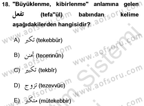 Osmanlı Türkçesi Grameri 1 Dersi Ara Sınavı Deneme Sınav Soruları 18. Soru