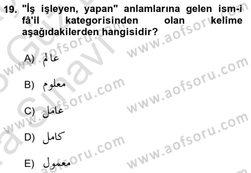 Osmanlı Türkçesi Grameri 1 Dersi Ara Sınavı Deneme Sınav Soruları 19. Soru