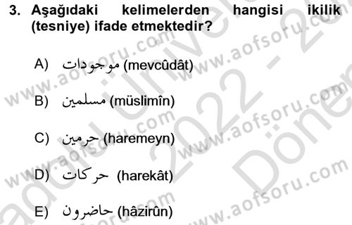 Osmanlı Türkçesi Grameri 1 Dersi 2022 - 2023 Yılı (Final) Dönem Sonu Sınav Soruları 3. Soru