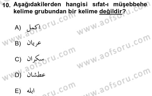 Osmanlı Türkçesi Grameri 1 Dersi 2022 - 2023 Yılı Yaz Okulu Sınav Soruları 10. Soru