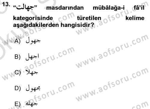 Osmanlı Türkçesi Grameri 1 Dersi 2022 - 2023 Yılı Yaz Okulu Sınav Soruları 13. Soru