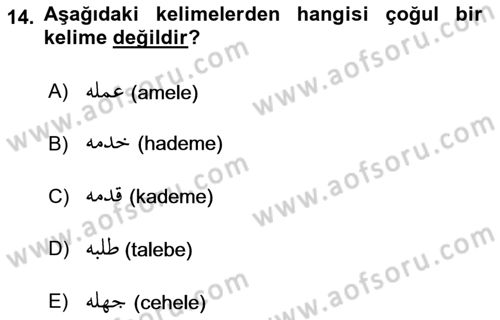 Osmanlı Türkçesi Grameri 1 Dersi 2022 - 2023 Yılı Yaz Okulu Sınav Soruları 14. Soru