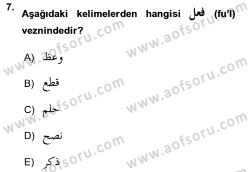 Osmanlı Türkçesi Grameri 1 Dersi 2022 - 2023 Yılı Yaz Okulu Sınav Soruları 7. Soru