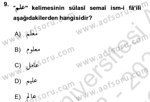 Osmanlı Türkçesi Grameri 1 Dersi 2022 - 2023 Yılı Yaz Okulu Sınav Soruları 9. Soru