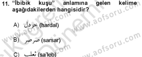 Osmanlı Türkçesi Grameri 1 Dersi Ara Sınavı Deneme Sınav Soruları 11. Soru