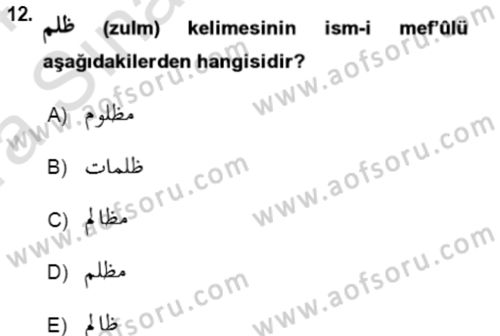 Osmanlı Türkçesi Grameri 1 Dersi 2023 - 2024 Yılı (Vize) Ara Sınavı 12. Soru