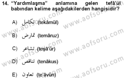 Osmanlı Türkçesi Grameri 1 Dersi Ara Sınavı Deneme Sınav Soruları 14. Soru