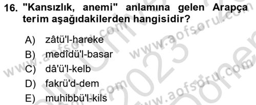 Osmanlı Türkçesi Grameri 1 Dersi 2023 - 2024 Yılı (Final) Dönem Sonu Sınavı 16. Soru