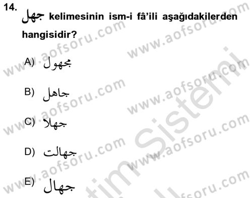 Osmanlı Türkçesi Grameri 1 Dersi 2023 - 2024 Yılı Yaz Okulu Sınav Soruları 14. Soru