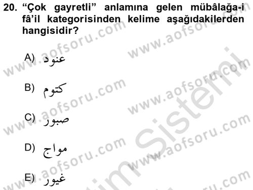 Osmanlı Türkçesi Grameri 1 Dersi 2023 - 2024 Yılı Yaz Okulu Sınav Soruları 20. Soru