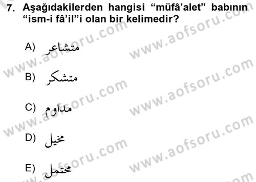 Osmanlı Türkçesi Grameri 1 Dersi 2023 - 2024 Yılı Yaz Okulu Sınav Soruları 7. Soru