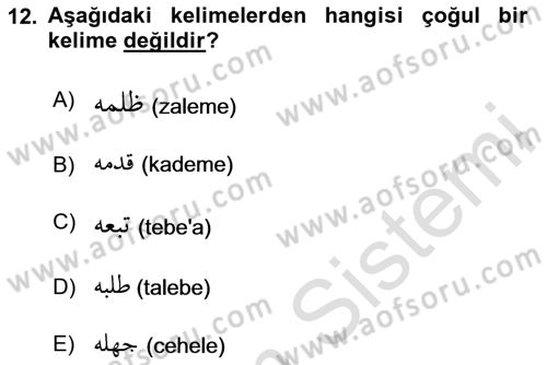 Osmanlı Türkçesi Grameri 1 Dersi Ara Sınavı Deneme Sınav Soruları 12. Soru
