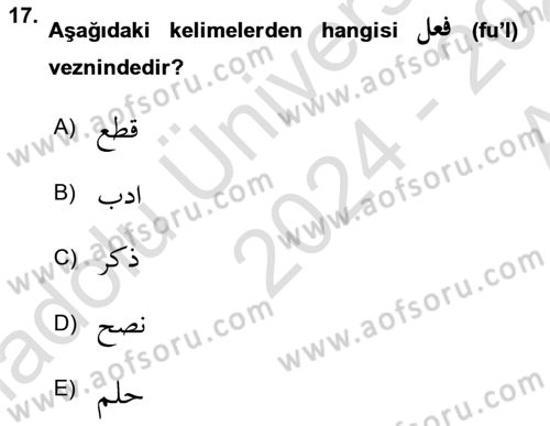 Osmanlı Türkçesi Grameri 1 Dersi 2024 - 2025 Yılı (Vize) Ara Sınav Soruları 17. Soru