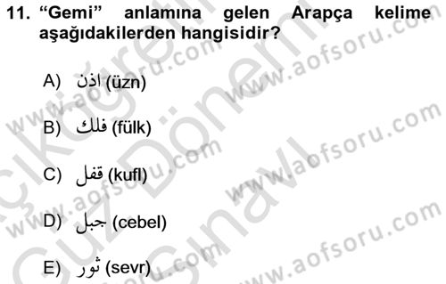 Osmanlı Türkçesi Grameri 1 Dersi 2024 - 2025 Yılı (Final) Dönem Sonu Sınav Soruları 11. Soru