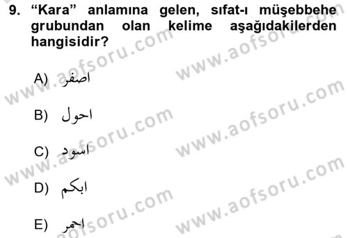Osmanlı Türkçesi Grameri 1 Dersi 2024 - 2025 Yılı (Final) Dönem Sonu Sınav Soruları 9. Soru