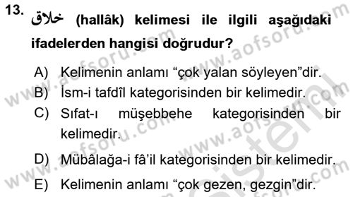 Osmanlı Türkçesi Grameri 1 Dersi 2024 - 2025 Yılı Yaz Okulu Sınav Soruları 13. Soru