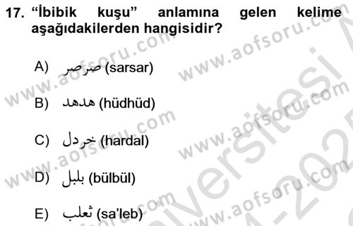 Osmanlı Türkçesi Grameri 1 Dersi 2024 - 2025 Yılı Yaz Okulu Sınav Soruları 17. Soru
